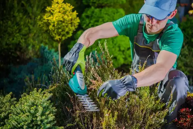 landscaping services Horton Bay